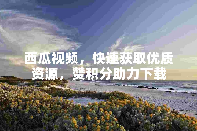 西瓜视频，快速获取优质资源，赞积分助力下载