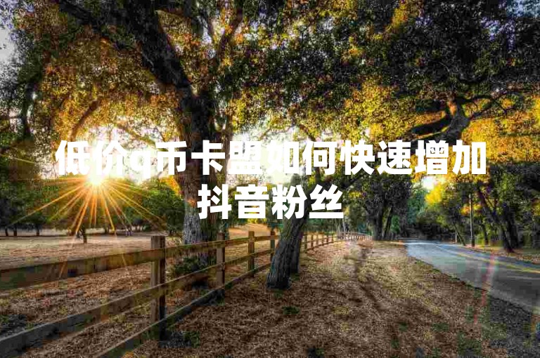低价q币卡盟如何快速增加抖音粉丝