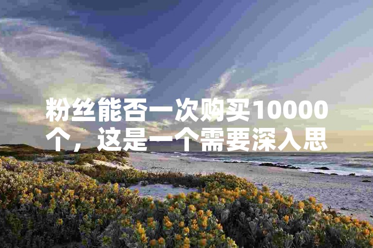 粉丝能否一次购买10000个，这是一个需要深入思考的问题。首先，购买粉丝需要考虑成本、时间、资源等多方面因素。其次，购买的粉丝是否能持续增长，以及如何通过内容策略提升转化率。此外，购买后的转化率（即新粉丝转化为活跃粉丝的比例）也是需要关注的重点。因此，建议用户通过内容营销、精准定位、持续优化等方式来提升转化率，从而更好地利用粉丝资源。