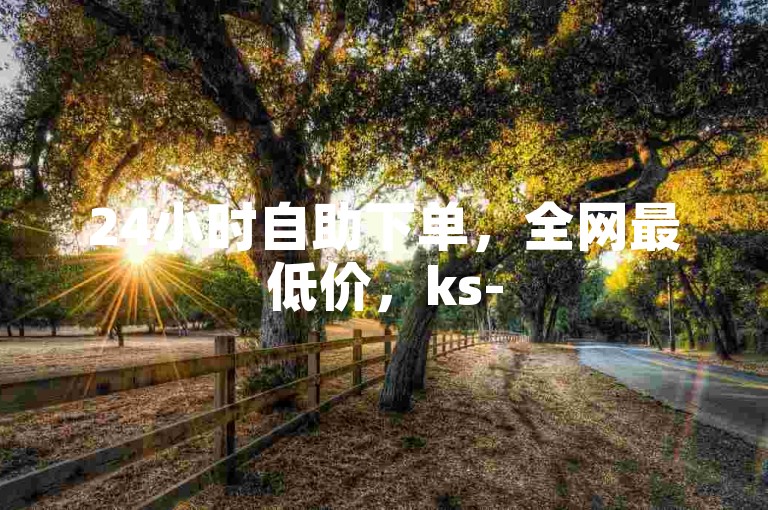 24小时自助下单，全网最低价，ks-