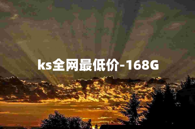 ks全网最低价-168G