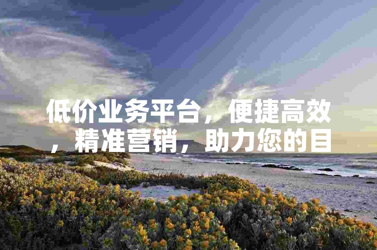 低价业务平台，便捷高效，精准营销，助力您的目标客户。