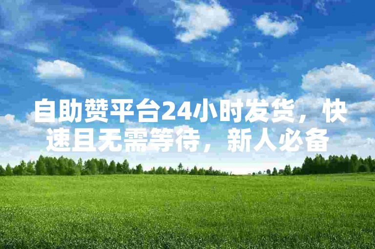自助赞平台24小时发货，快速且无需等待，新人必备！