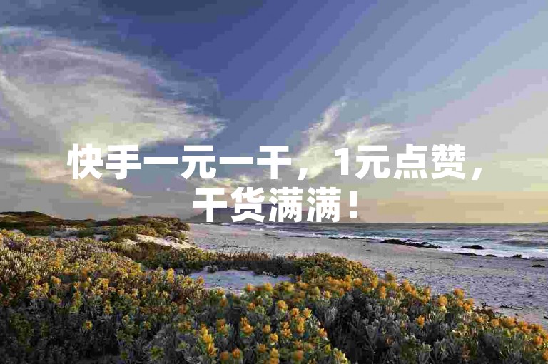 快手一元一干，1元点赞，干货满满！