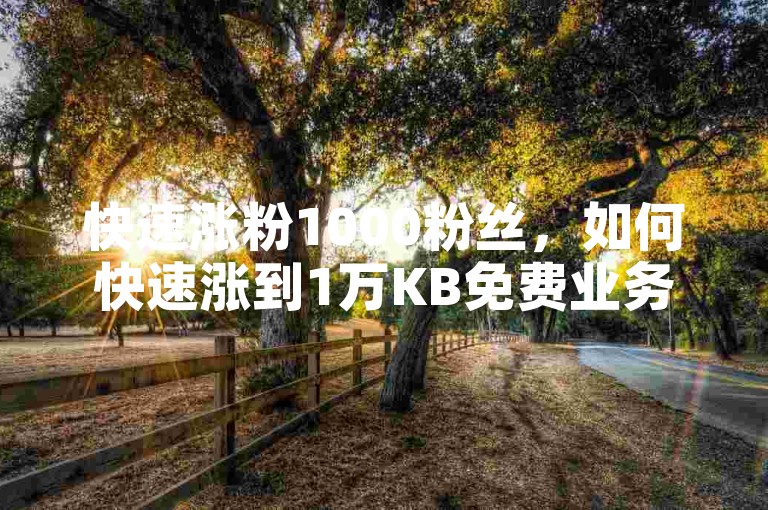 快速涨粉1000粉丝，如何快速涨到1万KB免费业务平台，自助下单最便宜