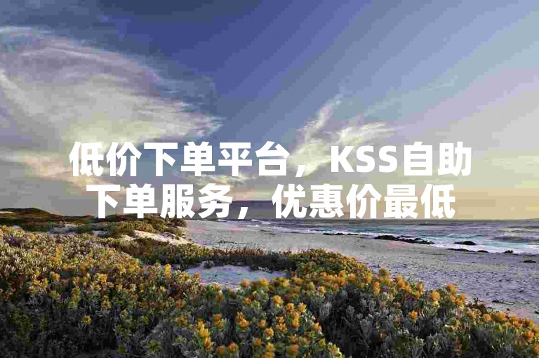 低价下单平台，KSS自助下单服务，优惠价最低