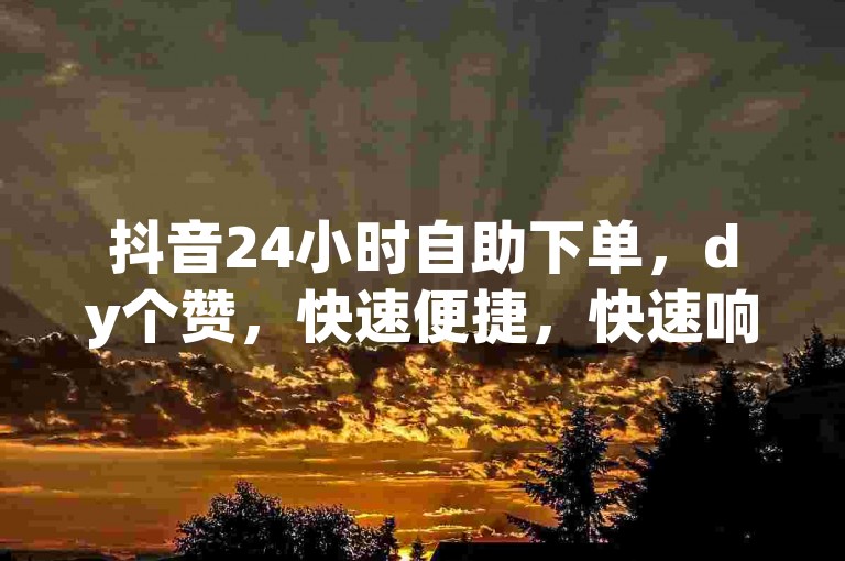 抖音24小时自助下单，dy个赞，快速便捷，快速响应