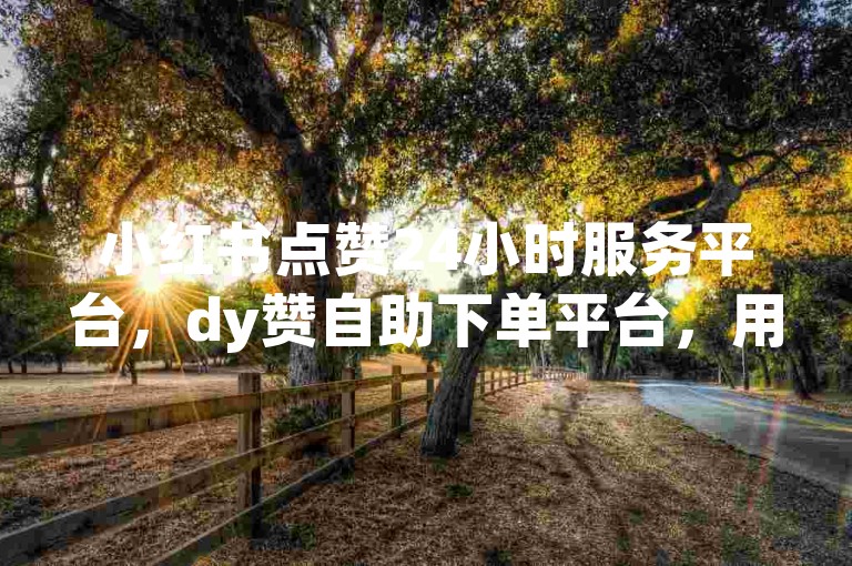小红书点赞24小时服务平台，dy赞自助下单平台，用户高效互动的便捷平台