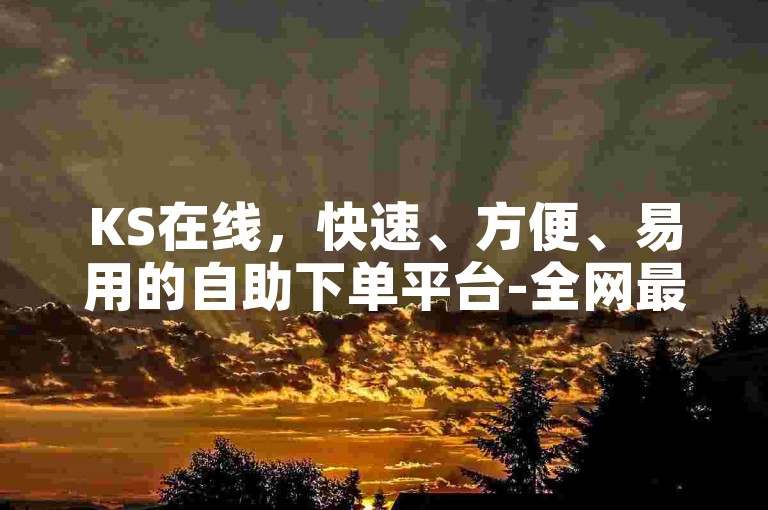 KS在线，快速、方便、易用的自助下单平台-全网最低价