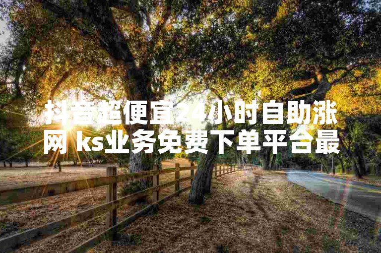 抖音超便宜24小时自助涨网 ks业务免费下单平台最便宜
