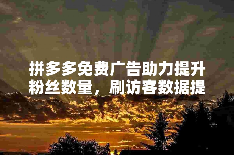 拼多多免费广告助力提升粉丝数量，刷访客数据提升转化率