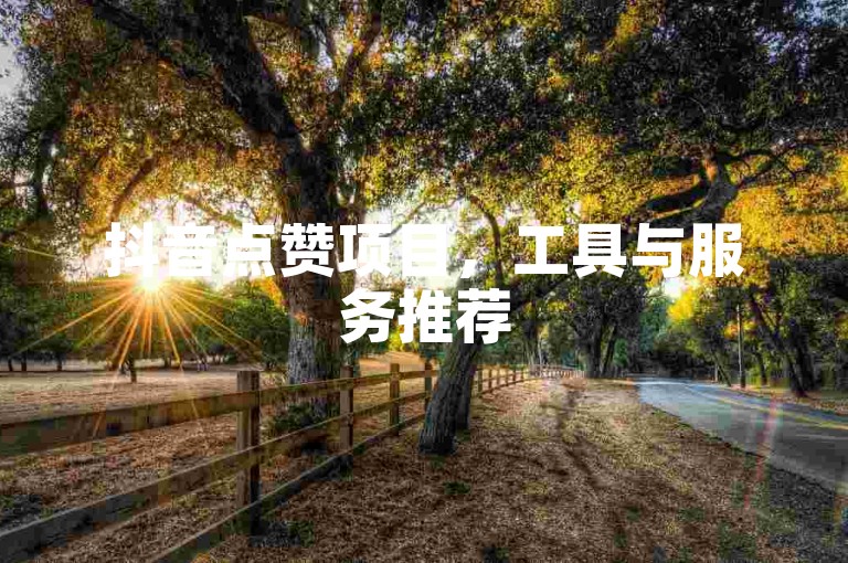 抖音点赞项目，工具与服务推荐