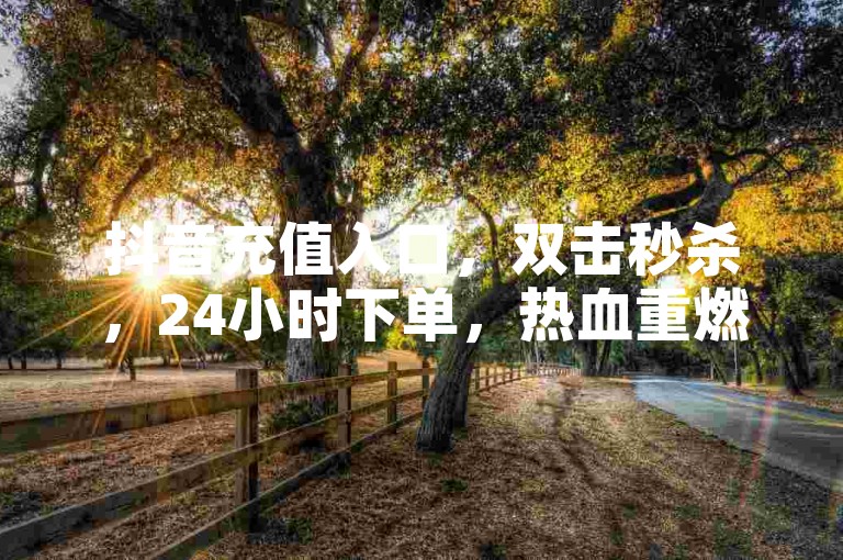 抖音充值入口，双击秒杀，24小时下单，热血重燃！