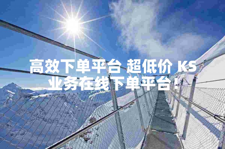 高效下单平台 超低价 KS业务在线下单平台！
