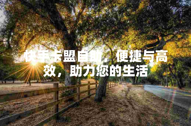 快手卡盟自助，便捷与高效，助力您的生活