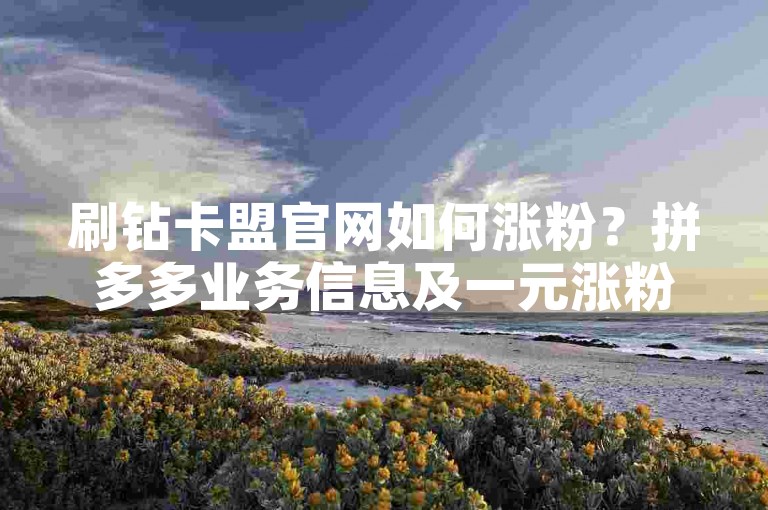 刷钻卡盟官网如何涨粉？拼多多业务信息及一元涨粉的可行性分析
