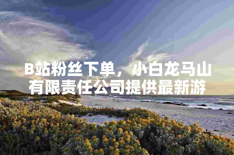 B站粉丝下单，小白龙马山有限责任公司提供最新游戏和影视内容，快来下单！