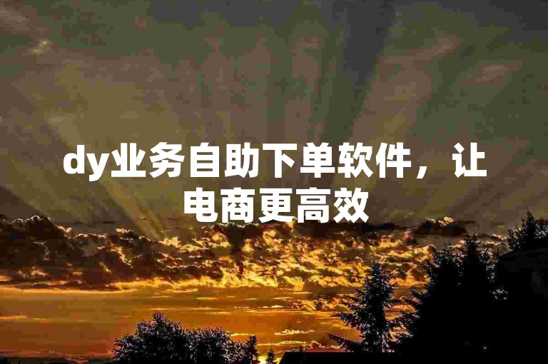 dy业务自助下单软件，让电商更高效