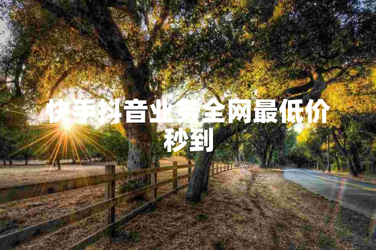 快手抖音业务全网最低价秒到
