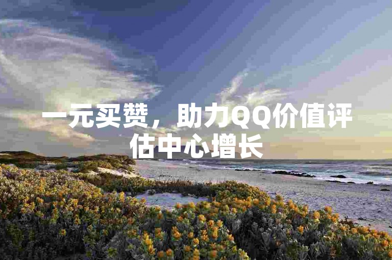 一元买赞，助力QQ价值评估中心增长