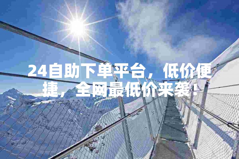24自助下单平台，低价便捷，全网最低价来袭！