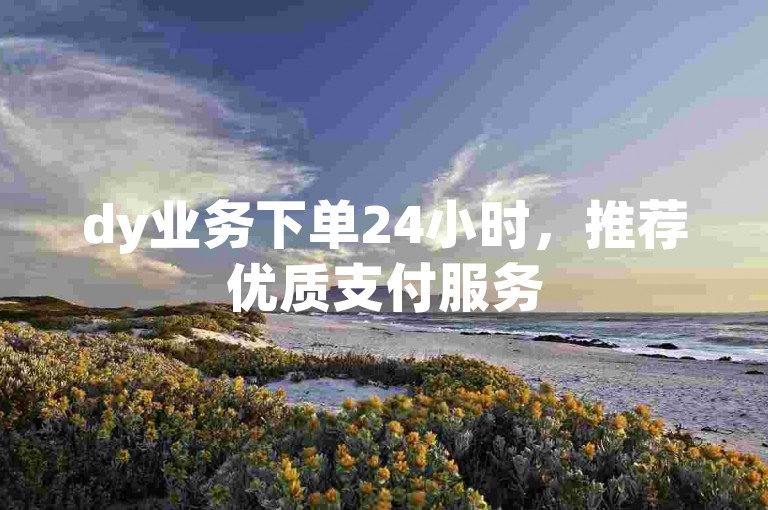 dy业务下单24小时，推荐优质支付服务