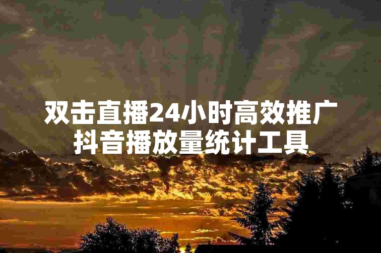 双击直播24小时高效推广抖音播放量统计工具