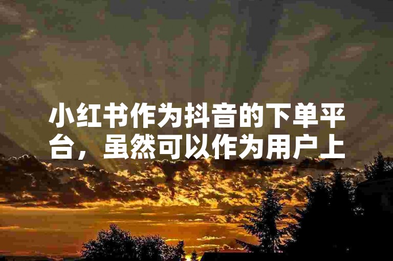 小红书作为抖音的下单平台，虽然可以作为用户上传商品或视频的平台，但无法直接提供24小时低价下单服务。获取低价下单服务通常需要通过其他平台，如抖音、快手等，或通过上传商品到小红书后进行销售。