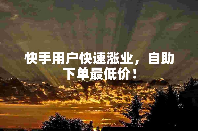 快手用户快速涨业，自助下单最低价！