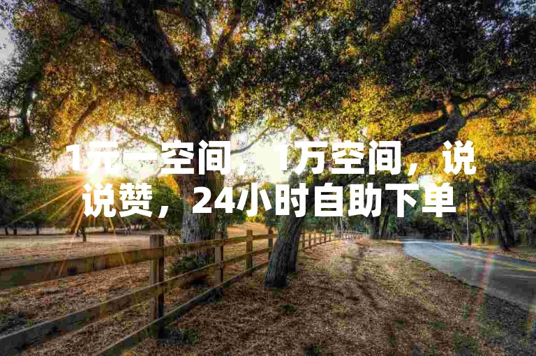 1元一空间，1万空间，说说赞，24小时自助下单