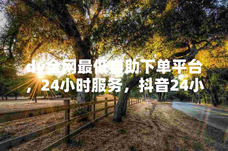 dy全网最低自助下单平台，24小时服务，抖音24小时自助服务平台