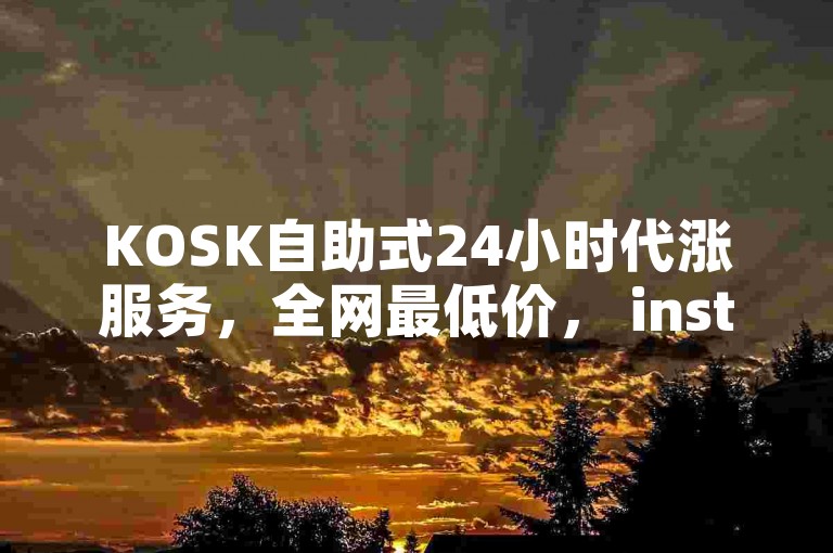 KOSK自助式24小时代涨服务，全网最低价， instant service