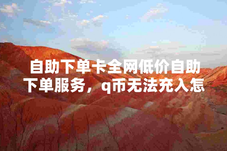 自助下单卡全网低价自助下单服务，q币无法充入怎么办？