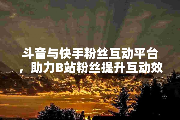 斗音与快手粉丝互动平台，助力B站粉丝提升互动效率