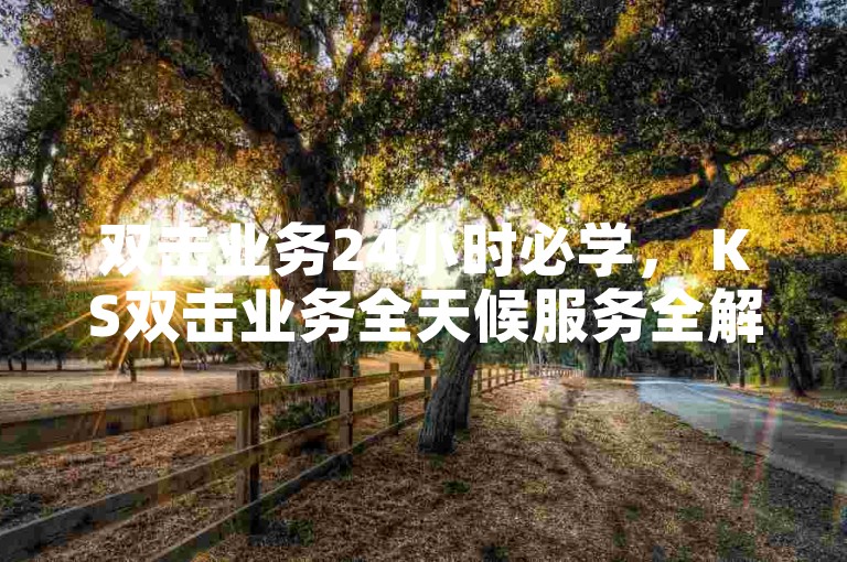 双击业务24小时必学， KS双击业务全天候服务全解析！