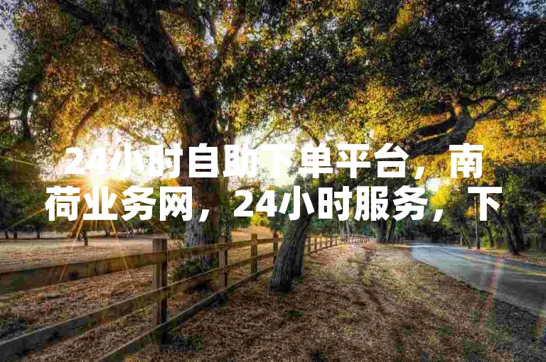 24小时自助下单平台，南荷业务网，24小时服务，下单无忧