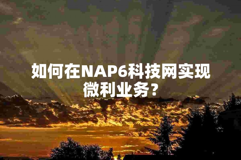 如何在NAP6科技网实现微利业务？