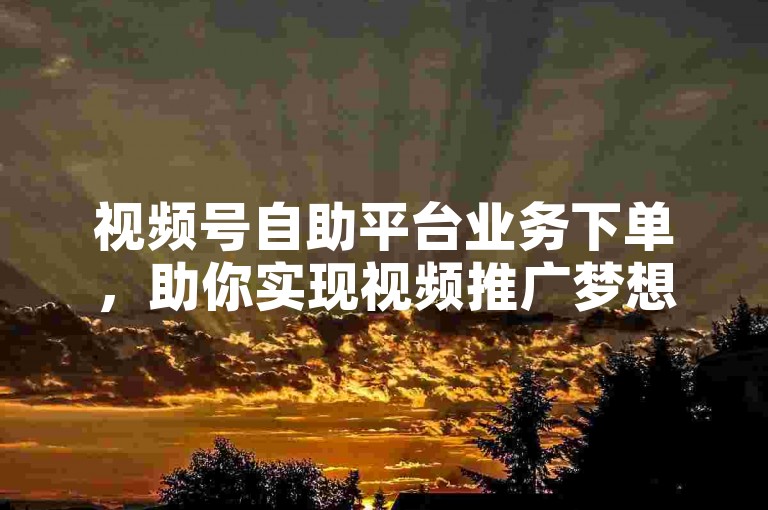 视频号自助平台业务下单，助你实现视频推广梦想！2024必学-