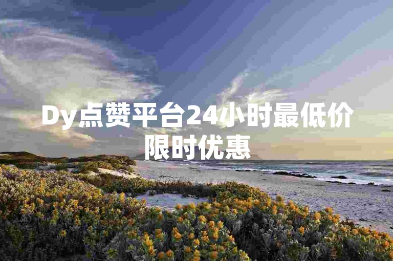 Dy点赞平台24小时最低价限时优惠