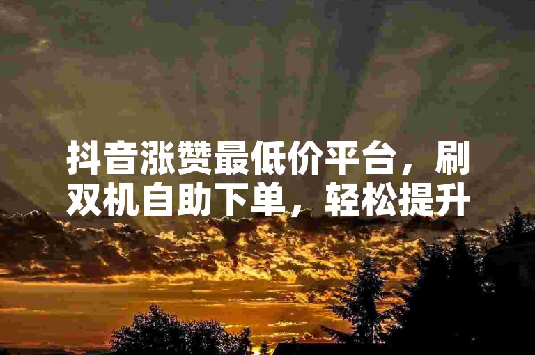 抖音涨赞最低价平台，刷双机自助下单，轻松提升曝光度