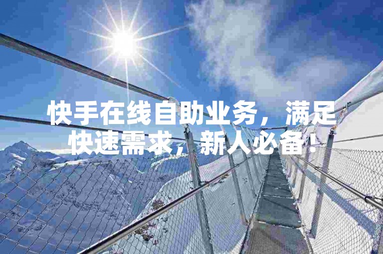 快手在线自助业务，满足快速需求，新人必备！