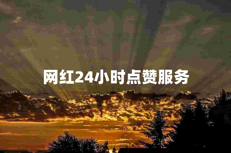 网红24小时点赞服务