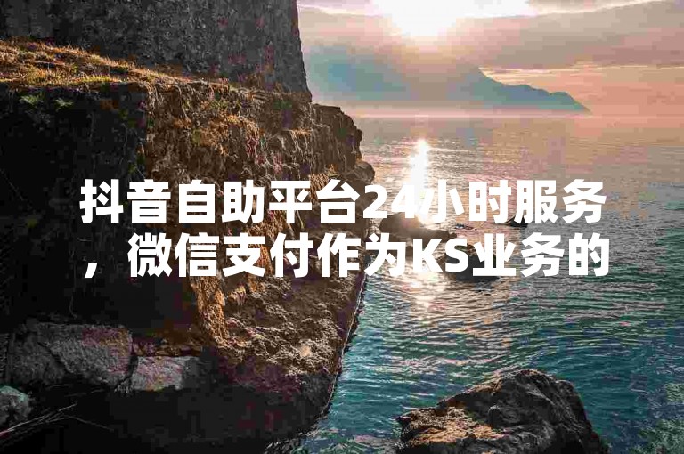 抖音自助平台24小时服务，微信支付作为KS业务的下单平台