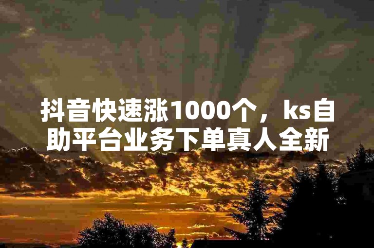 抖音快速涨1000个，ks自助平台业务下单真人全新体验