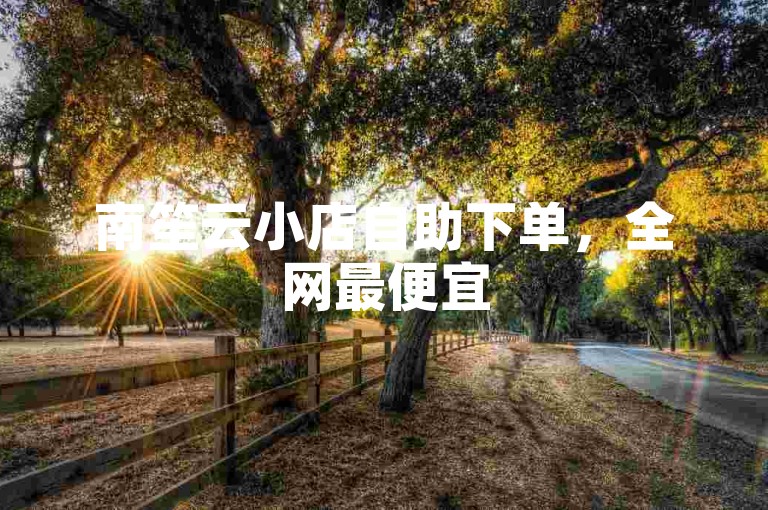 南笙云小店自助下单，全网最便宜