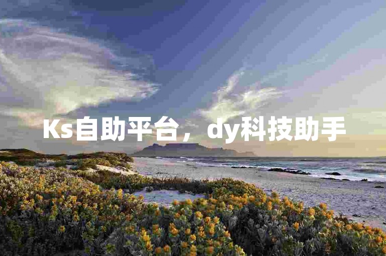 Ks自助平台，dy科技助手