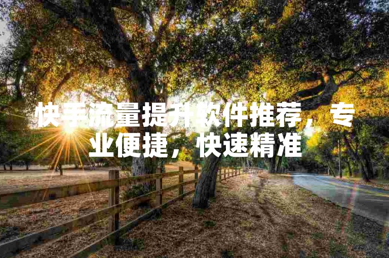 快手流量提升软件推荐，专业便捷，快速精准