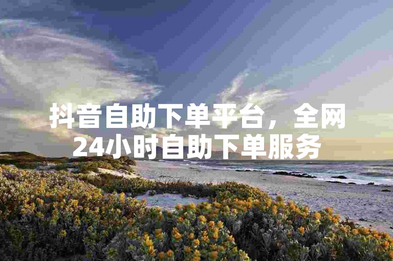 抖音自助下单平台，全网24小时自助下单服务