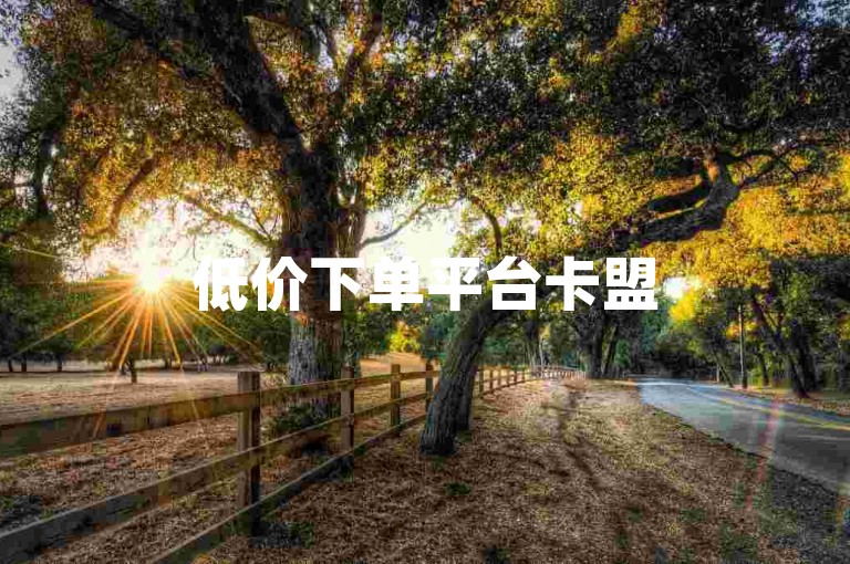 低价下单平台卡盟