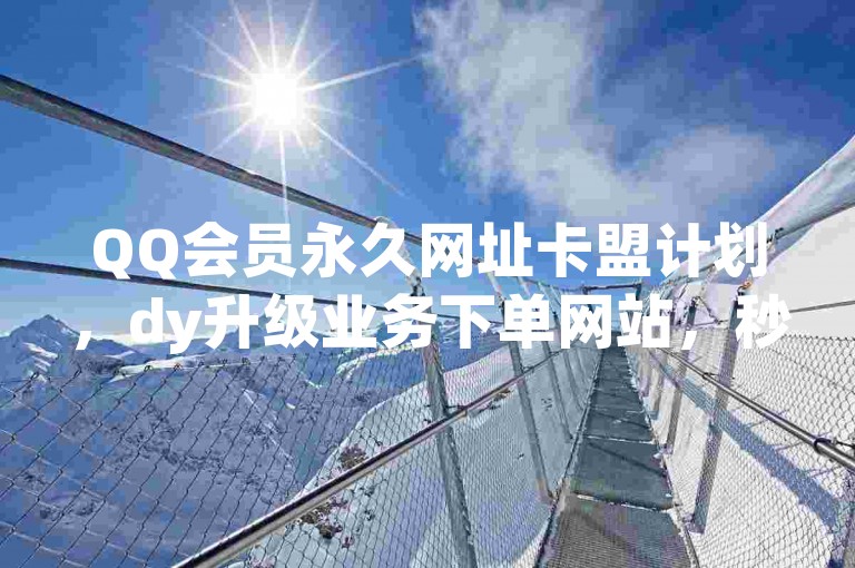 QQ会员永久网址卡盟计划，dy升级业务下单网站，秒到账震撼来袭！